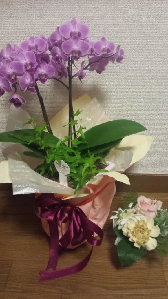 写真を載せ忘れ、再度投稿(T-T)