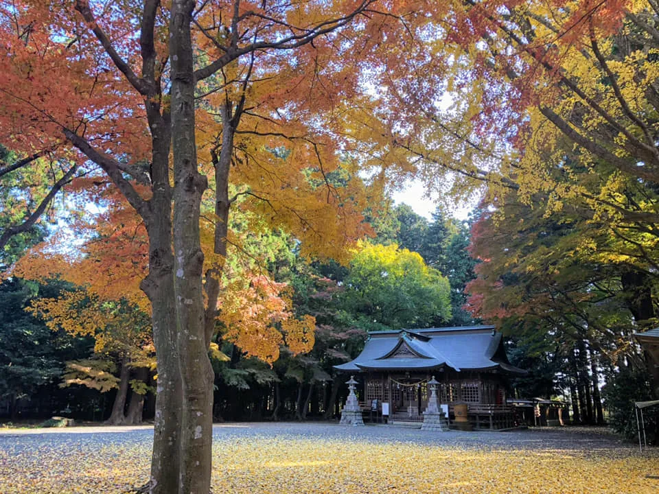 ～12月のお知らせ～