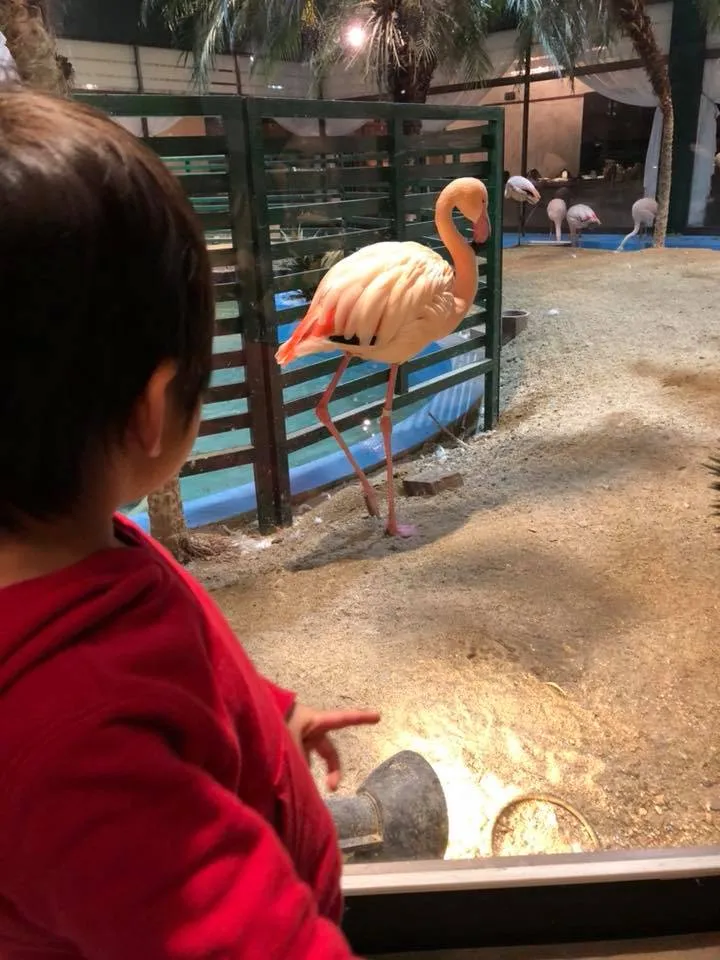 〜3月のお知らせ〜