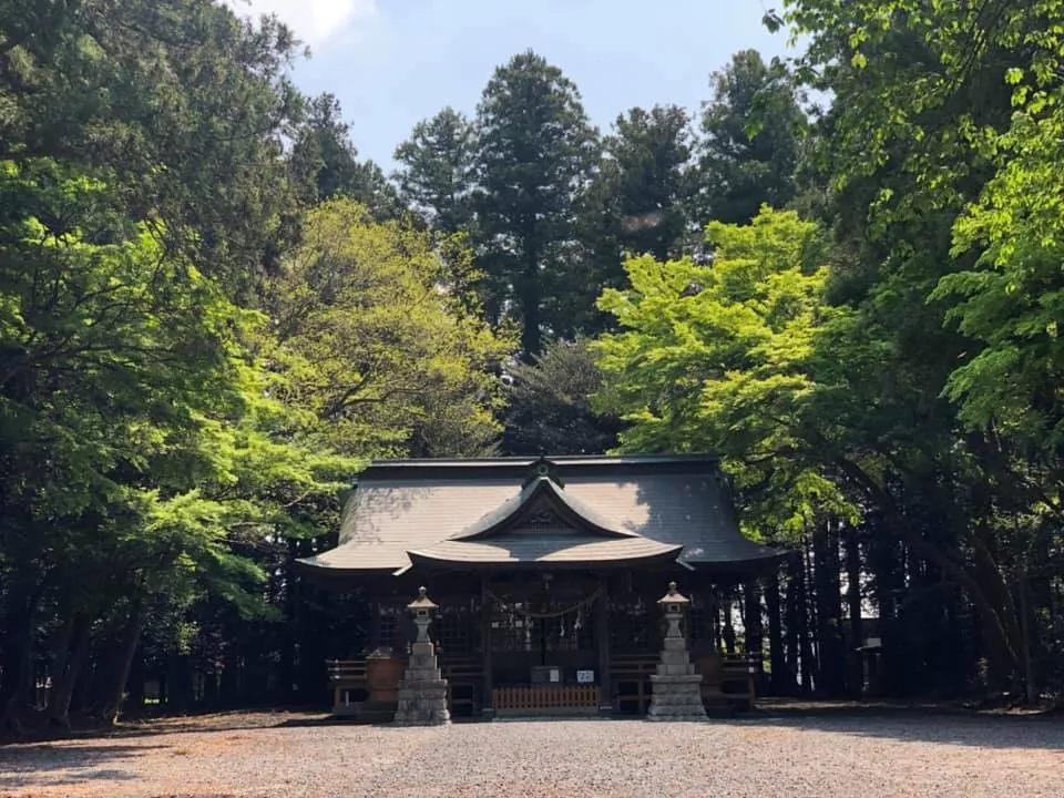 5月のお知らせ